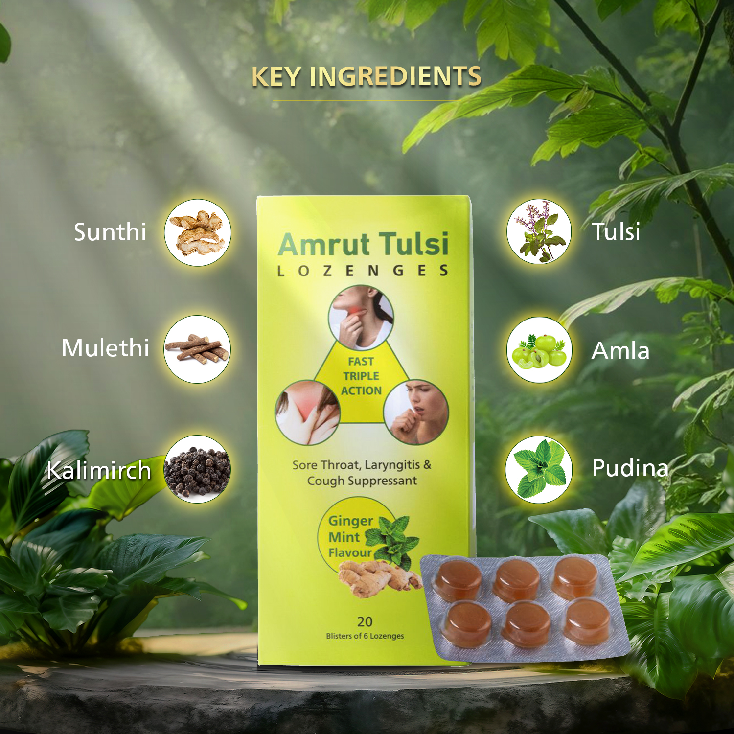 Amrut Tulsi Lozenges Ginger Mint